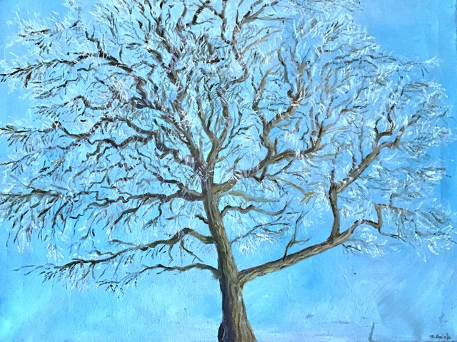 Oak tree in winter 2016