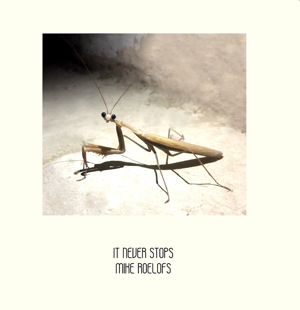 it never stops cover klein 